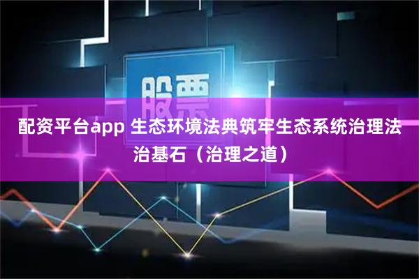 配资平台app 生态环境法典筑牢生态系统治理法治基石（治理之道）